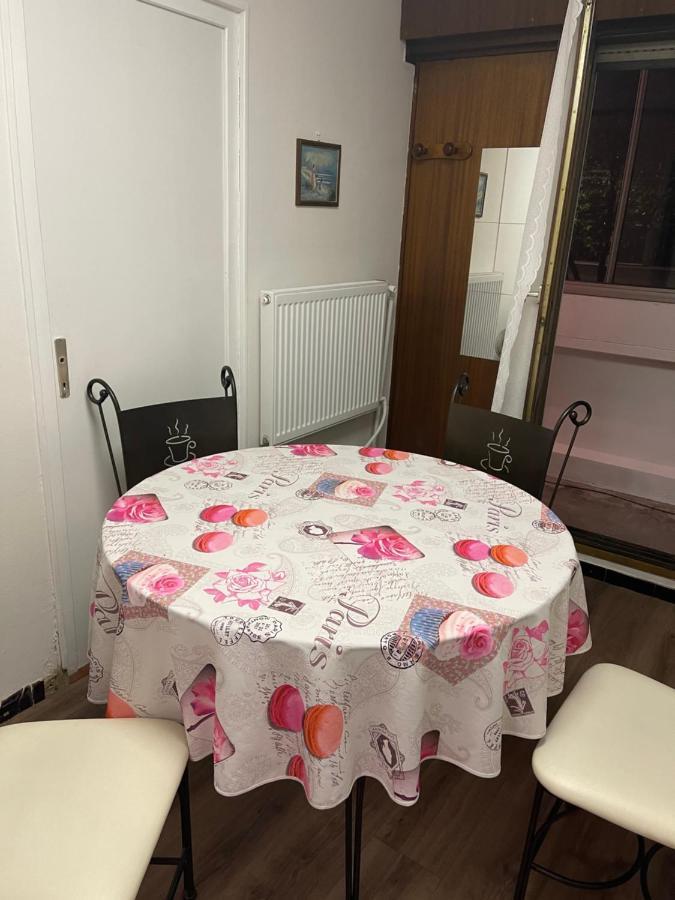 Appartement 3 Pieces Pour 1 A 5 Voyageurs Rillieux-la-Pape エクステリア 写真