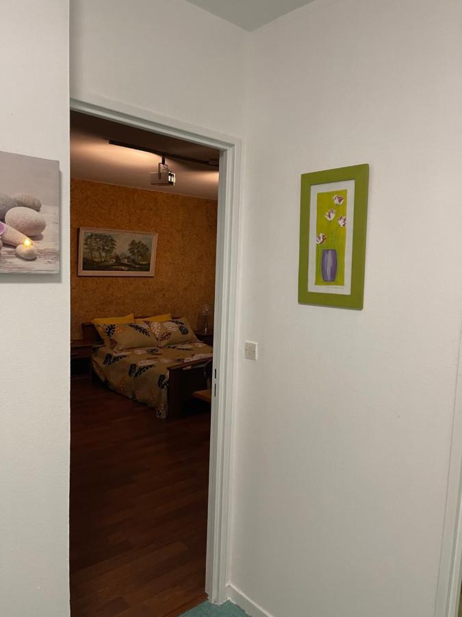 Appartement 3 Pieces Pour 1 A 5 Voyageurs Rillieux-la-Pape エクステリア 写真