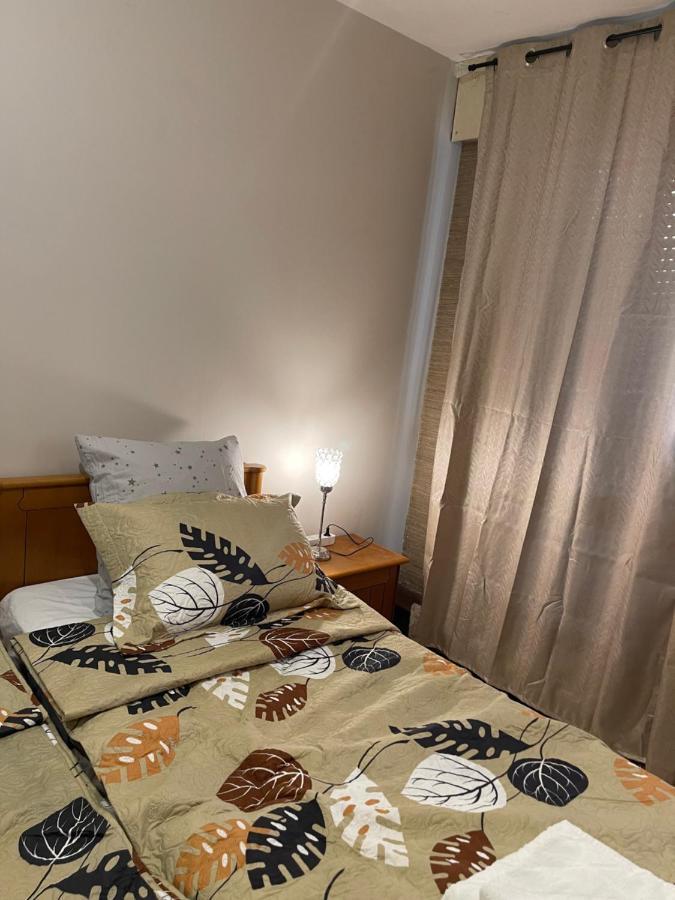 Appartement 3 Pieces Pour 1 A 5 Voyageurs Rillieux-la-Pape エクステリア 写真