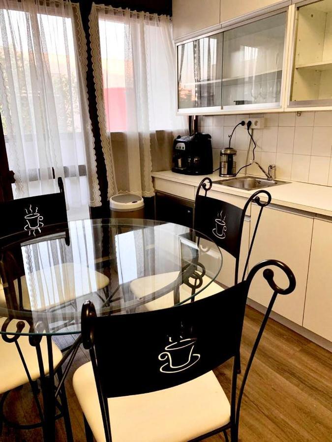 Appartement 3 Pieces Pour 1 A 5 Voyageurs Rillieux-la-Pape エクステリア 写真
