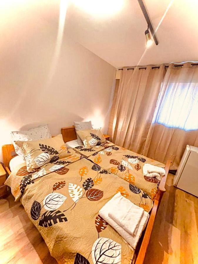 Appartement 3 Pieces Pour 1 A 5 Voyageurs Rillieux-la-Pape エクステリア 写真
