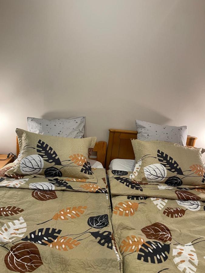 Appartement 3 Pieces Pour 1 A 5 Voyageurs Rillieux-la-Pape エクステリア 写真
