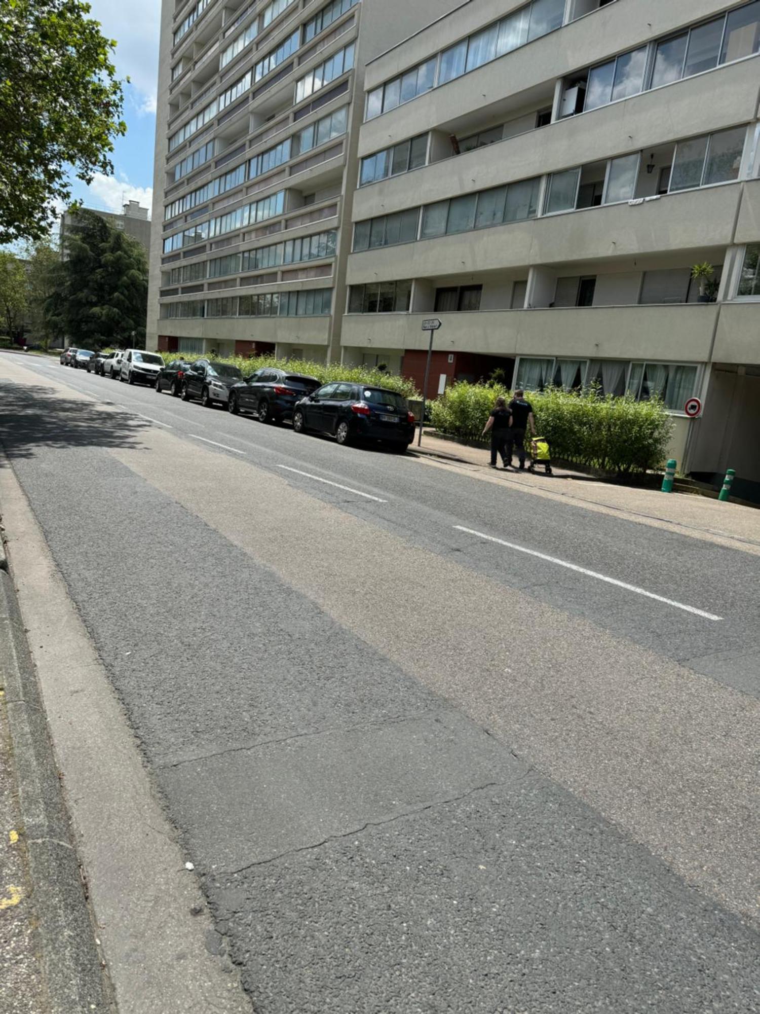 Appartement 3 Pieces Pour 1 A 5 Voyageurs Rillieux-la-Pape エクステリア 写真